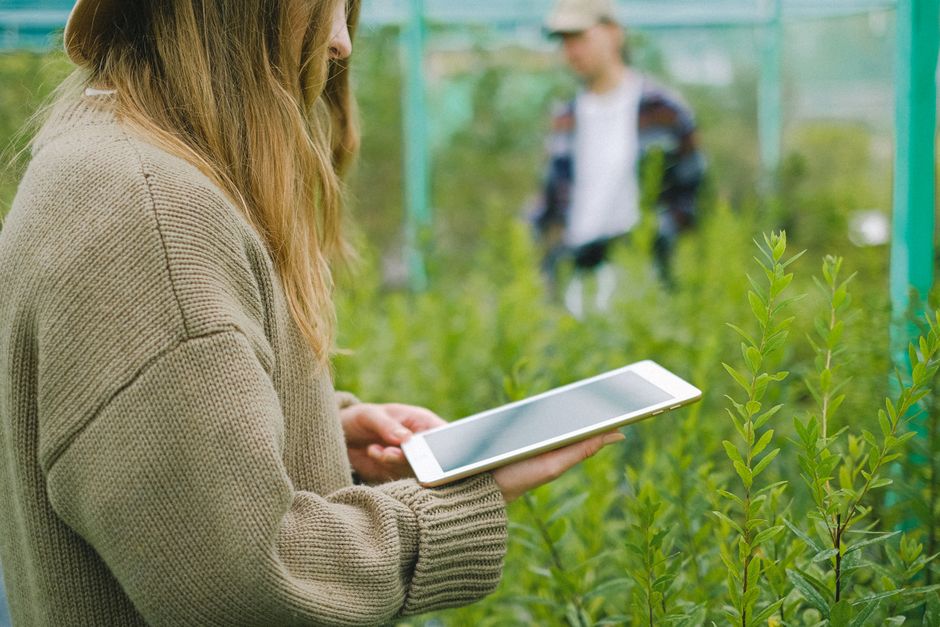 AI agents in agriculture: monitoring crops and predicting yields