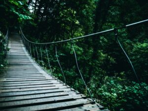 Bootstrapping vs venture capital: which path is right for you