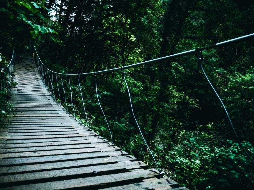 Bootstrapping vs venture capital: which path is right for you