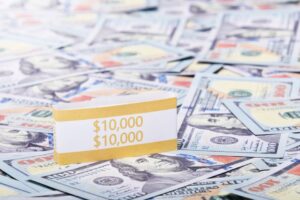 How to save 10000 dollars in one year on any income