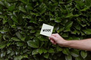 Upwork vs Fiverr vs Toptal: which freelance platform pays the most
