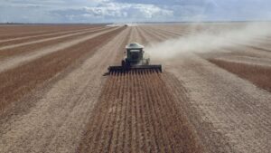 Agricultural commodities explained: trading wheat corn and soybeans