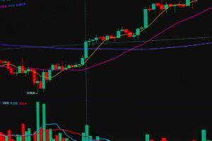 Forex risk management: how to protect your trading account