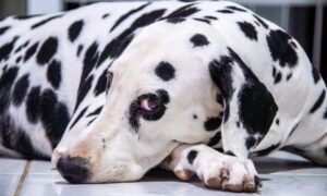 Spot trading vs futures trading: which is right for crypto beginners