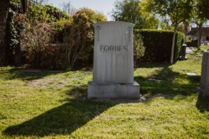 What are NFTs in 2026: are they dead or just getting started