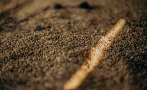 What is a seed phrase and why losing it means losing your crypto